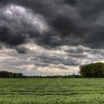 Estudo inédito é tema de discussão no Ministério do Meio Ambiente (Foto: Thinkstock)