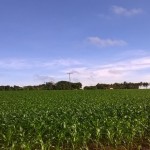 Especialistas consideram uso do refúgio importante para evitar resistência de pragas (Foto: Divulgação/Aprosoja-MT)