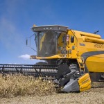 De acordo com o Deral, 885 das lavouras de soja do Paraná estão em boas condições (Foto: Divulgação)