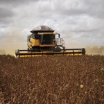 Para representantes do USDA no Brasil, exportações brasileiras de soja devem ser beneficiadas pela taxa de câmbio e pela demanda chinesa (Foto: Ernesto de Souza/Ed. Globo)