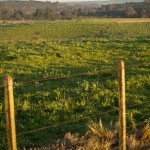 De acordo com a CNA, menos de um milhão de propriedades rurais do Brasil está inscrito no Cadastro Ambiental Rural (Foto: Marcelo Curia / Ed. Globo)