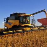 Na avaliação da Agroconsult, chuvas melhoraram as condições das lavouras em fevereiro (Foto: Tadeu Vilani/Ed. Globo)