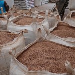 Decisão de plantio da próxima safra está entre preços internos do feijão e resultado da safra de soja dos Estados Unidos (Foto: Ernesto de Souza / Editora Globo)